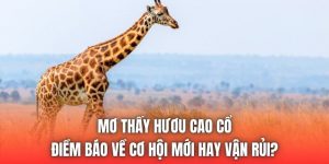 Mơ Thấy Hươu Cao Cổ - Điềm Báo Về Cơ Hội Mới Hay Vận Rủi?