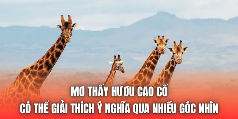 Mơ thấy hươu cao cổ có thể giải thích ý nghĩa qua nhiều góc nhìn