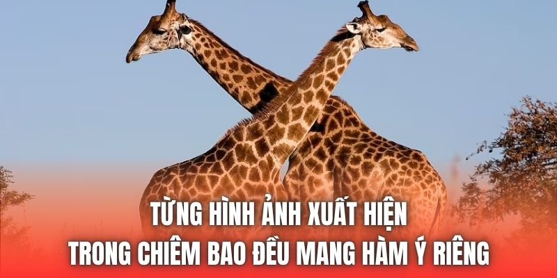 Từng hình ảnh xuất hiện trong chiêm bao đều mang hàm ý riêng